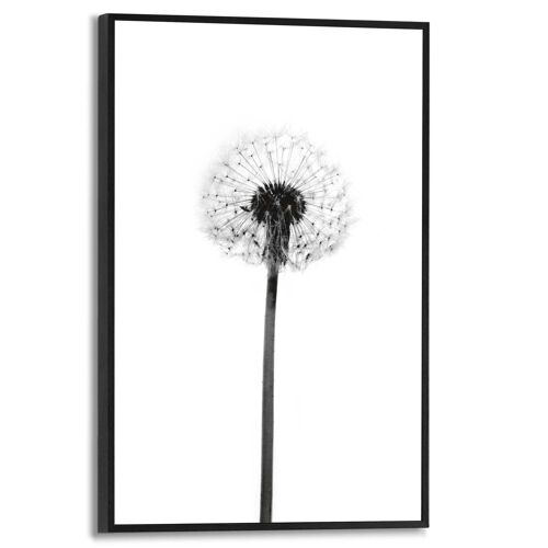 Slim Frame Dandelion Grey 20x30 cm