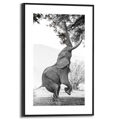 Cadre fin Éléphant 20x30 cm