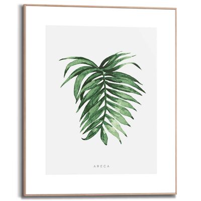 Slim Frame Areca Leaf 40x50 cm
