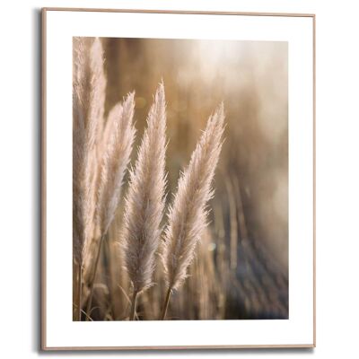 Slim Frame Sunset Grasses 40x50 cm