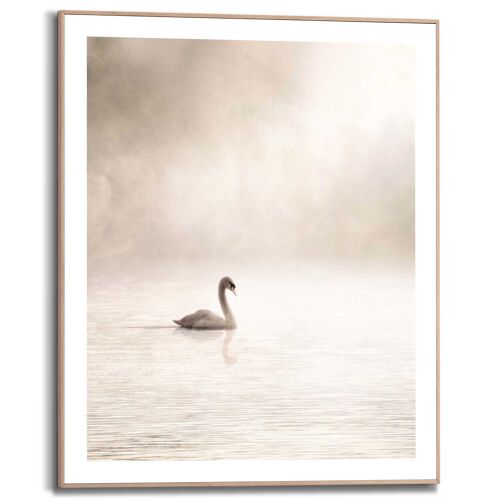 Slim Frame Misty Lake Swan 40x50 cm