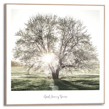 Arbre Sunbeam Slim Frame 50x50 cm 1