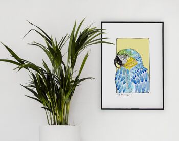 Carte postale & Affiche papier aquarelle - Perroquet - Décoration murale - Illustration nature et animaux - Tirage d'art peinture 1