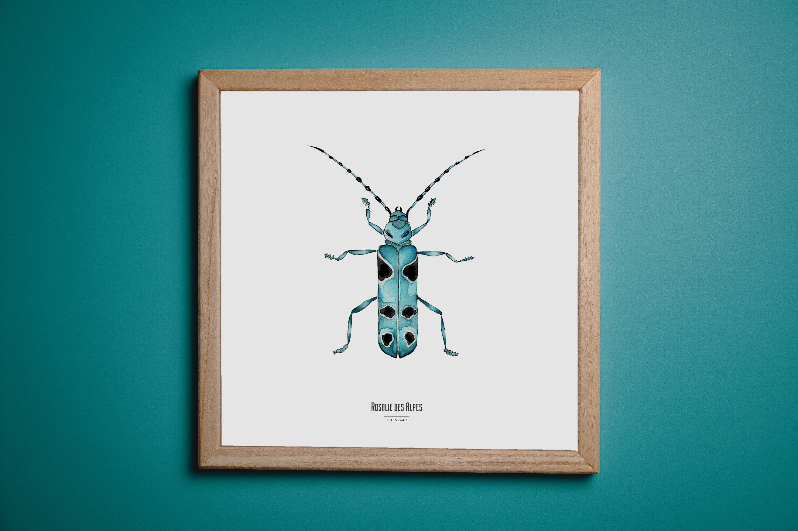 Illustrazione - Carta quadrata degli insetti - Rosalie - Poster entomologico - Gabinetto delle curiosità - Decorazione murale - Stampa d'arte