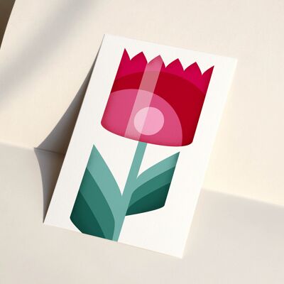 Postkarte "Tulpe"