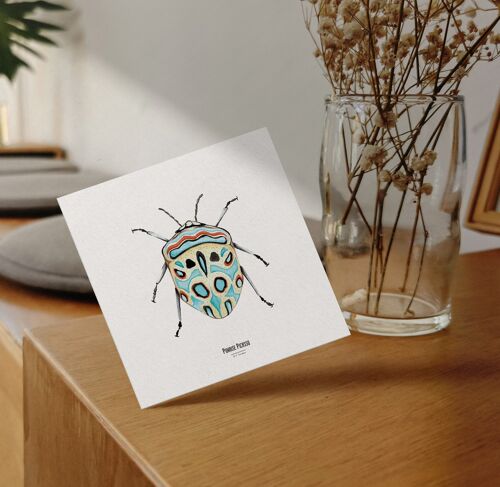 Illustration - Carte carrée insecte - Punaise - Affiche entomologique - Cabinet de curiosité - Décoration murale - Tirage d'art