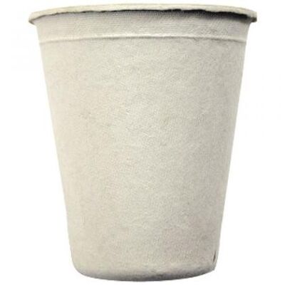 Biodegradable sugar cane pulp cups