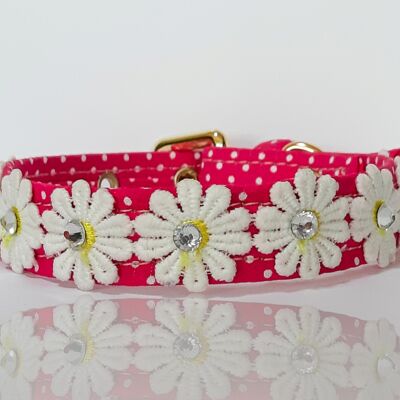 Linda dog collar