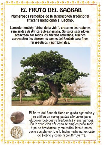 Pulpe de baobab, boîte 250gr 4