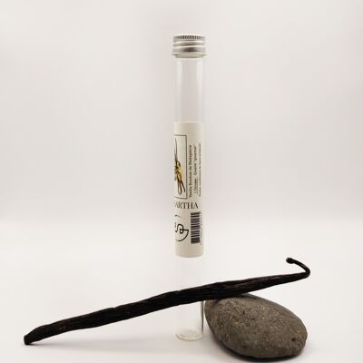 Vanille bourbon gourmet de Madagascar - une gousse