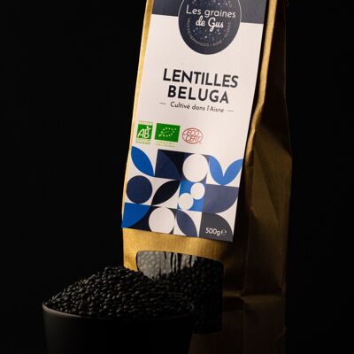 LENTILLES BELUGA BIO 500g