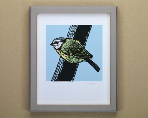 Blue Tit Garden Bird Art Print (IC-P-BlueTit-02)