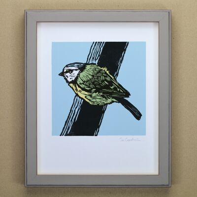 Stampa artistica dell'uccello del giardino della cinciarella (IC-P-BlueTit-02)