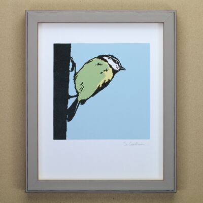 Impresión de arte de pájaro de jardín de tit azul (IC-P-BlueTit-01)