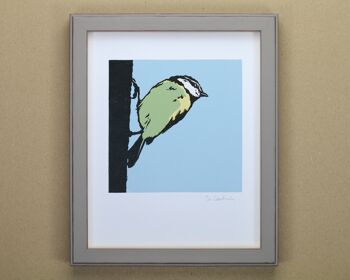 Impression d'art d'oiseau de jardin de mésange bleue (IC-P-BlueTit-01) 1