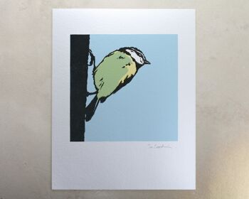 Impression d'art d'oiseau de jardin de mésange bleue (IC-P-BlueTit-01) 2