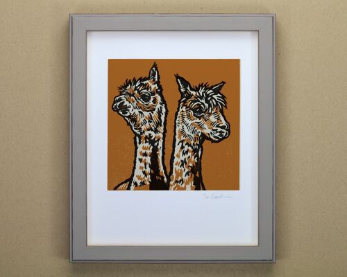 Alpacas Art Print (IC-P-Alpacas)