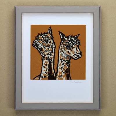 Stampa artistica di alpaca (IC-P-Alpaca)