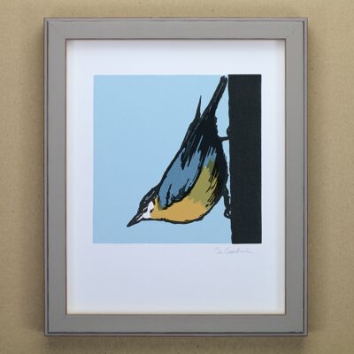 Picchio muratore Bird Art Print (IC-P-Picchio muratore)