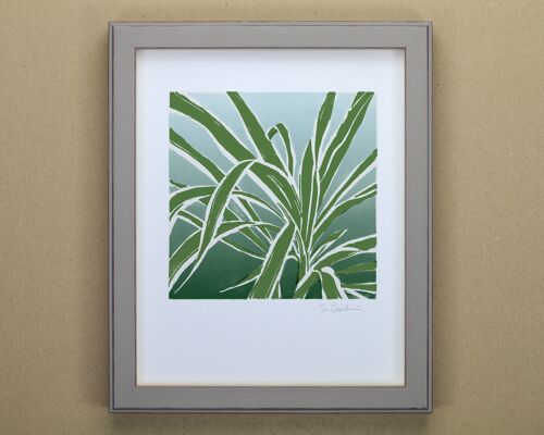 Spider Plant Art Print (IC-P-SpiderPlant)