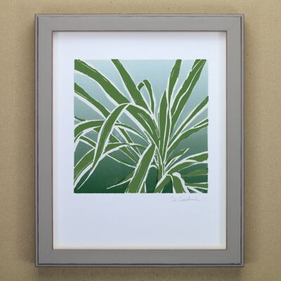 Spider Plant Art Print (IC-P-SpiderPlant)