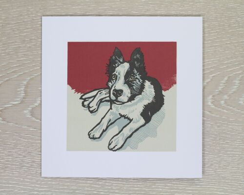 Border Collie Puppy Greetings Card - Piper (IC-Piper)