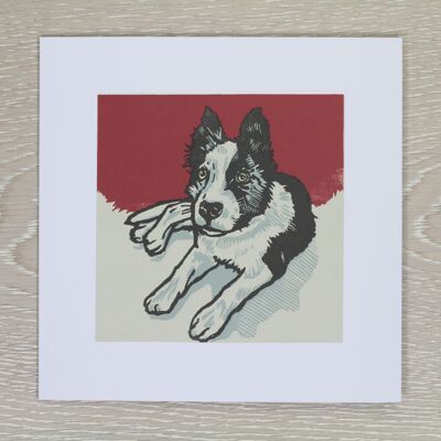 Border Collie Puppy Greetings Card - Piper (IC-Piper)