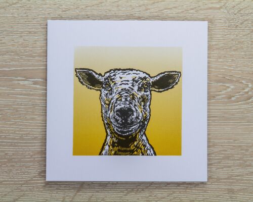 Sheep Greetings Card (IC-Sheep)