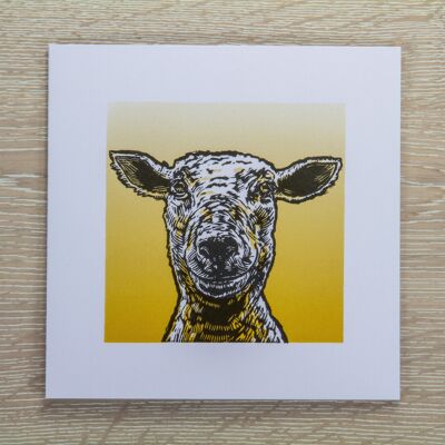 Sheep Greetings Card (IC-Sheep)