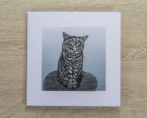 Grey Cat Greetings Card (IC-SilverCat)