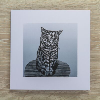 Grey Cat Greetings Card (IC-SilverCat)