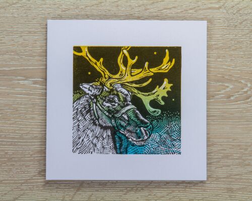 Reindeer Greetings Card (IC-Reindeer)