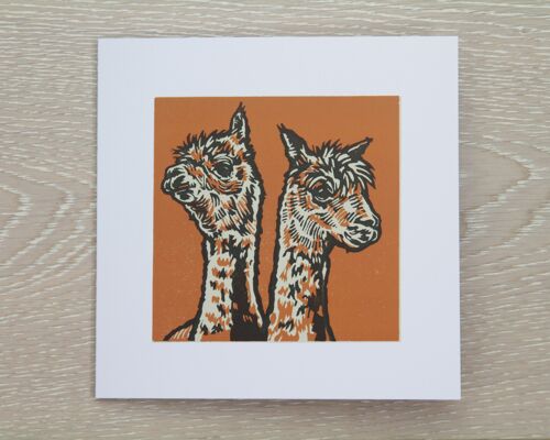 Alpacas Greetings Card (IC-Alpacas)