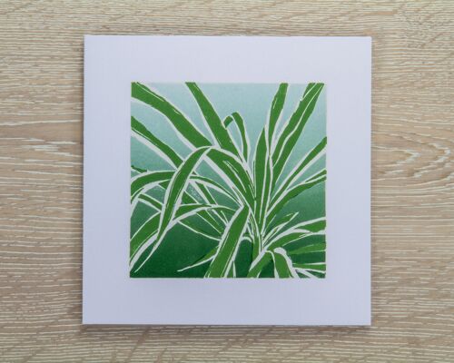 Spider Plant Greetings Card (IC-SpiderPlant)