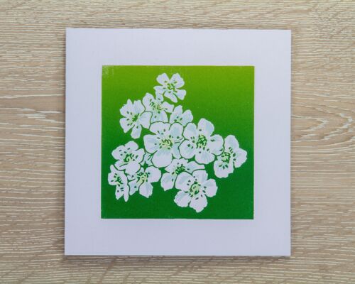 Hawthorn Flowers Greetings Card (IC-Hawthorn)