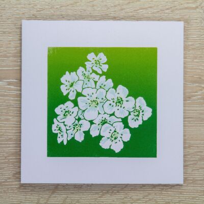 Weißdorn-Blumen-Grußkarte (IC-Hawthorn)