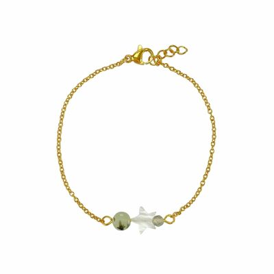 Armband Muschelstern & Prehnit - Gold