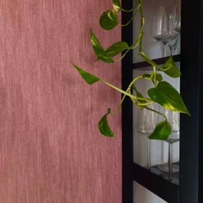 Linen Wallcovering, Plain, Old Rose