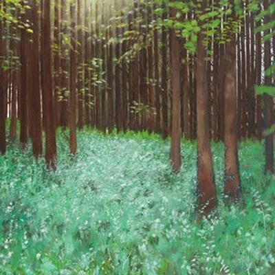 Forest Glade Cavan ~ James Kelly