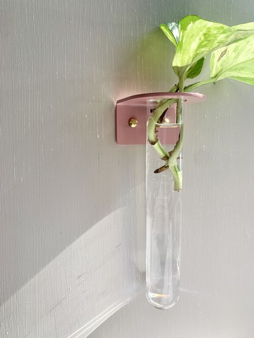 Wall mounted Propagation Station - Blush