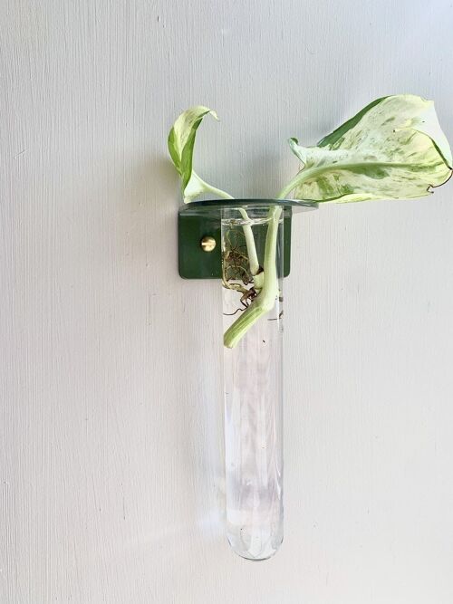 Wall mounted Propagation Station - Olive