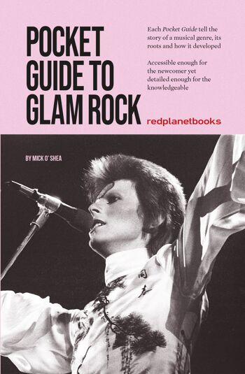 Guide de poche du Glam Rock 1