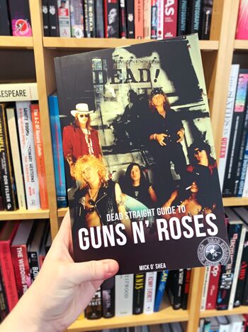 Le guide direct de Guns N' Roses 4