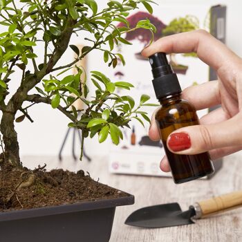CULTIVEA Premium Bonsai Kit Ready to Grow - Garden and decorate - Maintenance of your bonsai and natural plants - Wire, Fertilizer, Tools, Round Scissors, Small Bonsai Scissors - Original Gift Idea 5