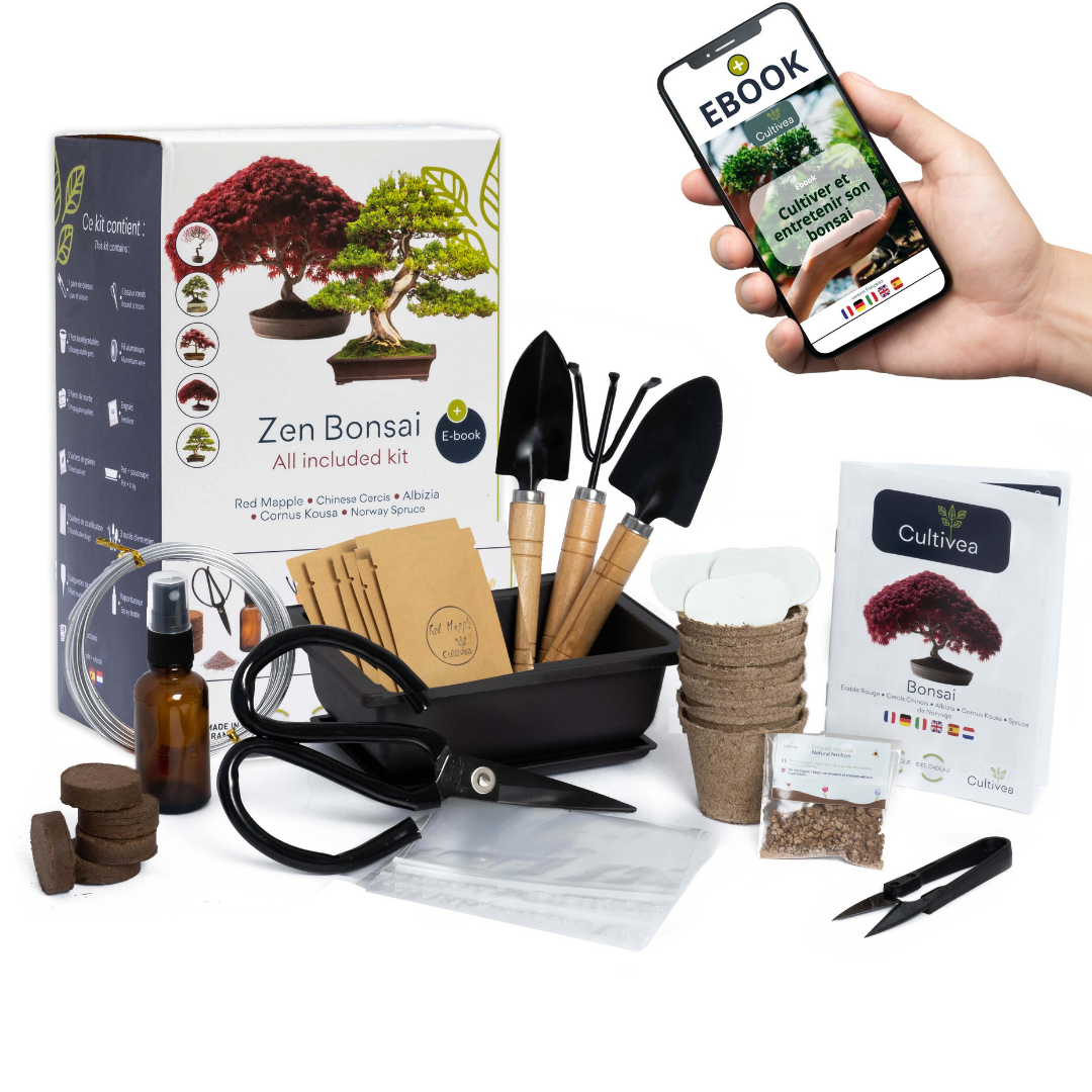 CULTIVEA® Kit Bonsaï Premium Prêt à Pousser - Jardinez et décorez - Entretien de vos bonsaïs et plantes naturel - Fil, Outils, Ciseaux Ronds, Petits Ciseaux Bonsai - Idée Cadeau Original
