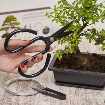 CULTIVEA - Set of 3 bonsai essential tools - Steel tool - bonsai and plant maintenance - Round scissors - Aluminum wire 4
