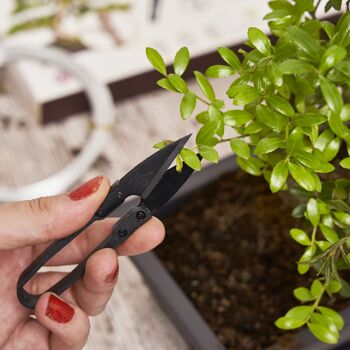 CULTIVEA - Set of 3 bonsai essential tools - Steel tool - bonsai and plant maintenance - Round scissors - Aluminum wire 5