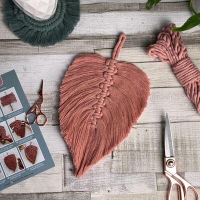 Macrame Feather Kit - Pink