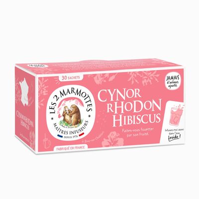 Infusión de rosa mosqueta e hibisco: infusión de tisana con rosa mosqueta e hibisco