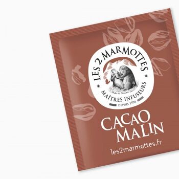 Infusion Cacao Malin : Rooibos thé rouge biologique | Les 2 Marmottes 3